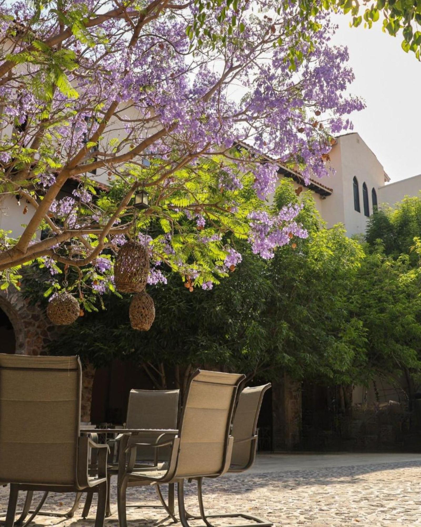 Suites Campestres Montebello Bernal Esterno foto